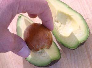 avocado-pull-seed-out1